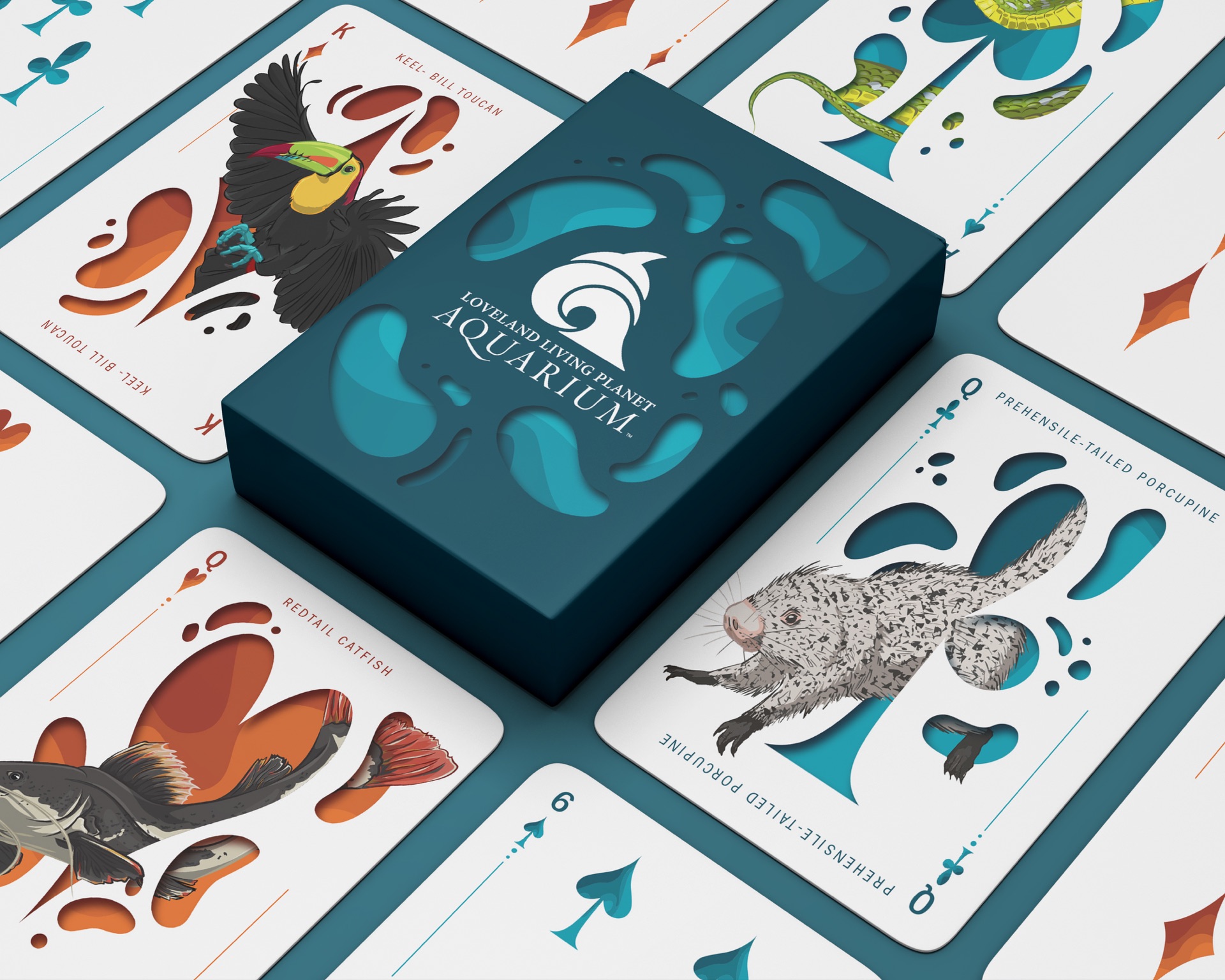 Playing Cards - Grid